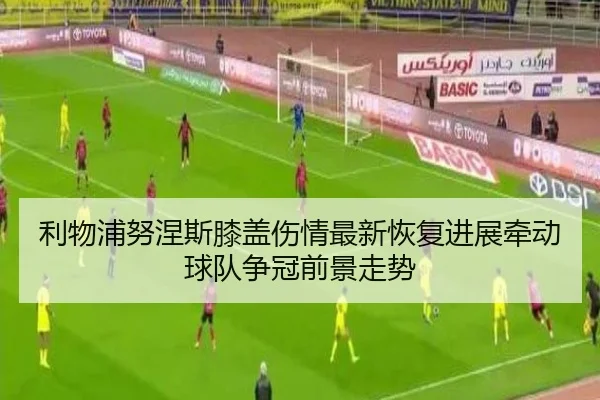 利物浦努涅斯膝盖伤情最新恢复进展牵动球队争冠前景走势