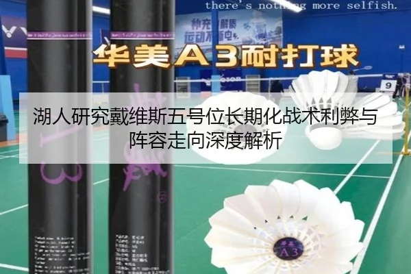 湖人研究戴维斯五号位长期化战术利弊与阵容走向深度解析